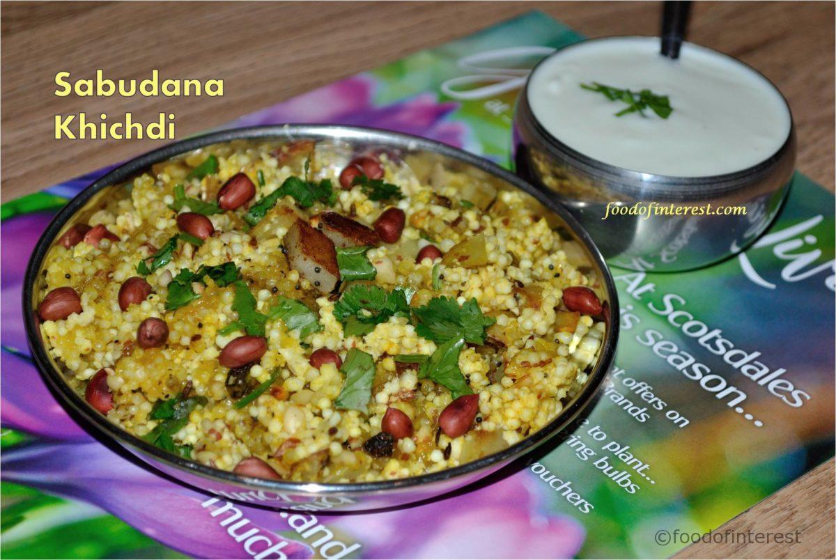 Sabudana Khichdi | Sabudani Khees | Fasting Recipes