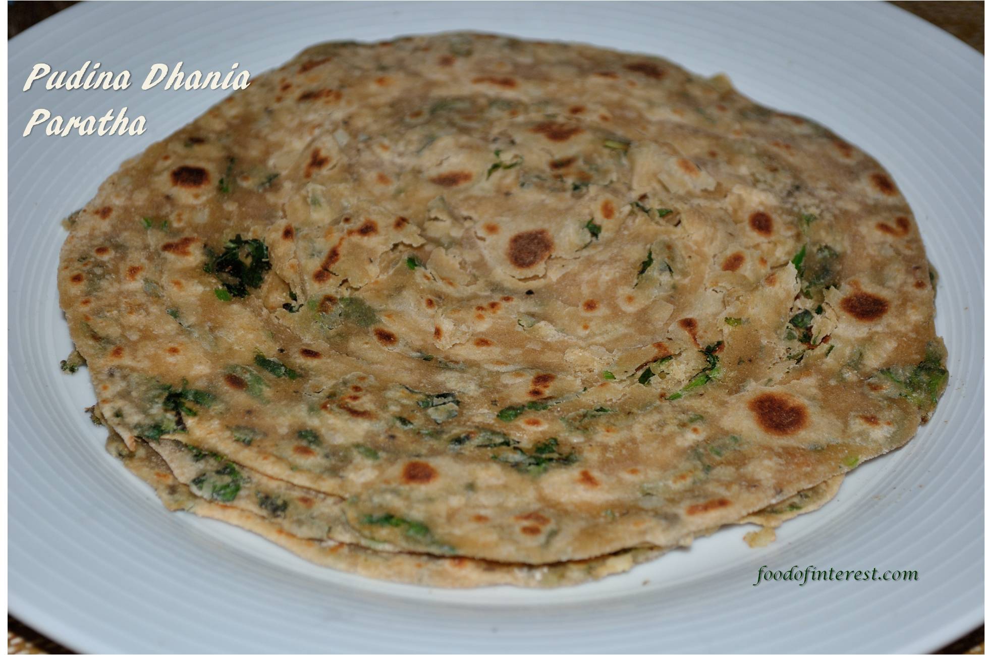 Pudina Dhania Paratha Pudina Lachha Paratha Paratha Recipes